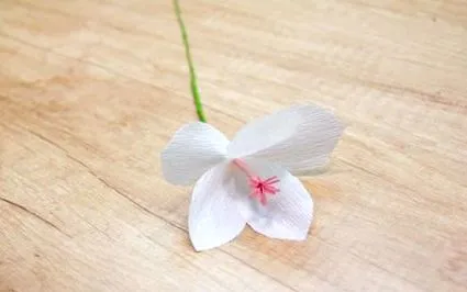 flori