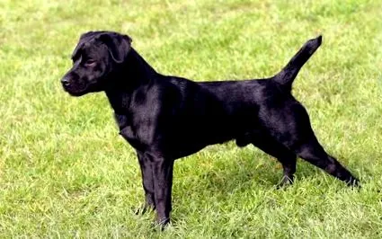 patterdale