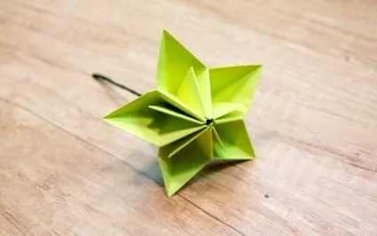 flori