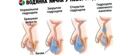 тестиси компетентно
