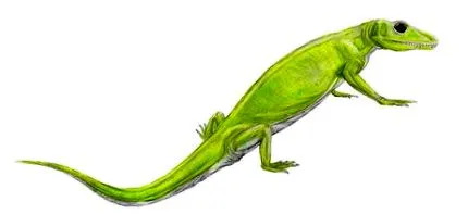 képek