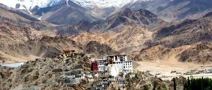 tibetani tibetani