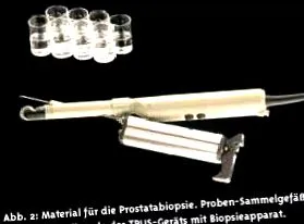 prostată