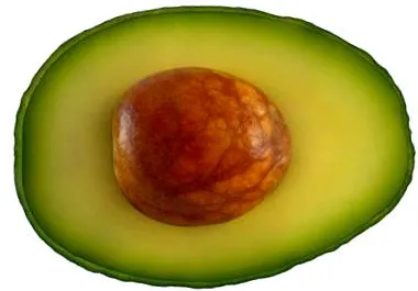 dieta