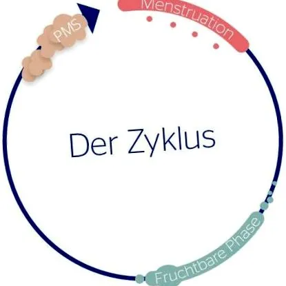 tiszta tippek