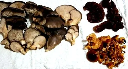 печурки