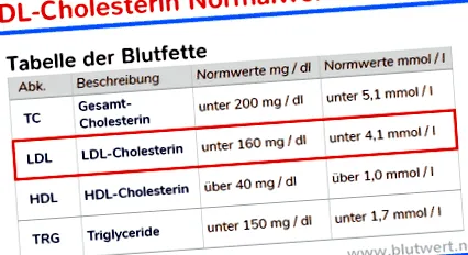 koleszterinszint