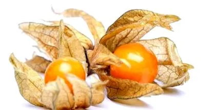 physalis egészséges