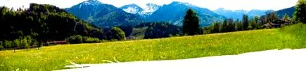 kräuterparadies