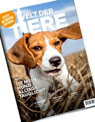 http weltdertiere