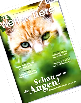 állattáplálkozás