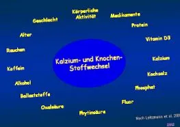 kalcium felszívódását