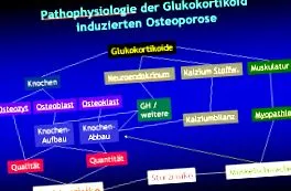 reumatológus