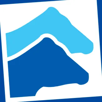 schaumann