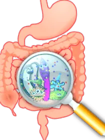 intestinală