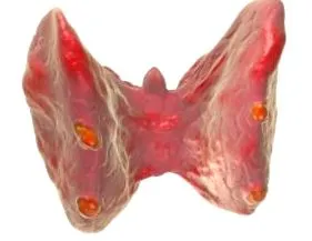 boli