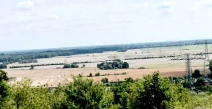 biogazdaság