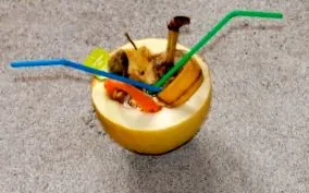 turmix