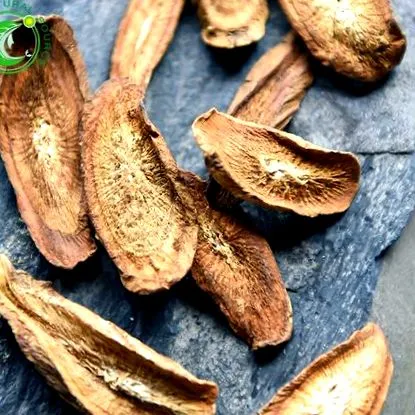 szecsuán