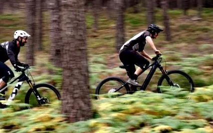 двигун Shimano