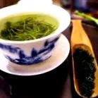 pierzi