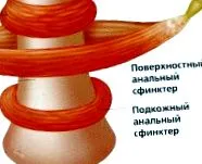 sfincterul