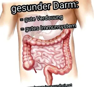 metabolikus aktiváció