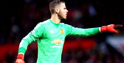 rajongója rooney