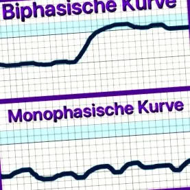ovuláció görbe