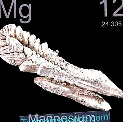 magnesium