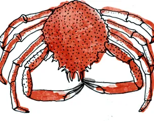 морски