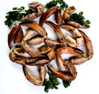устата
