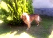 відсотків загального