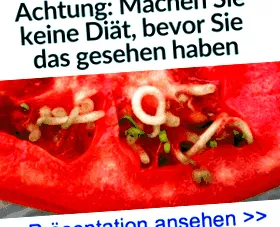 legegészségesebb