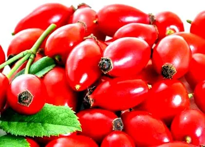 capră