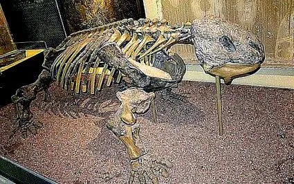 палеозойської