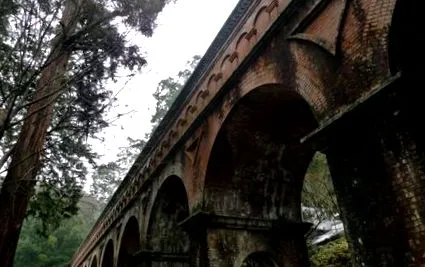 potabilă Japonia