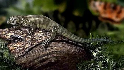 зустріньте