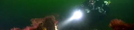 sidemount