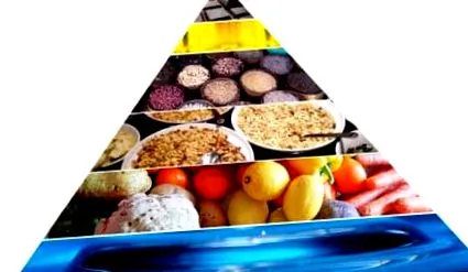 veganblatt