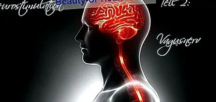 nervilor