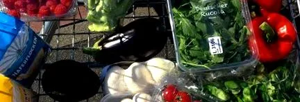 vegán