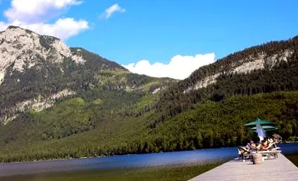 Zona luptă cuib micul dejun