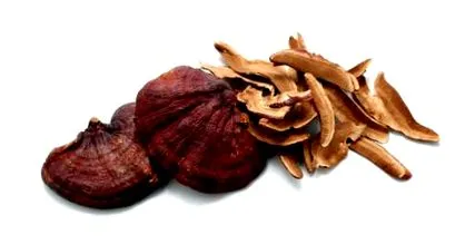 ciupercile