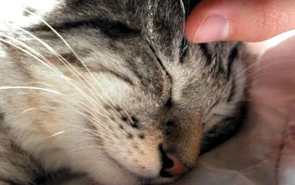 tudni tudni