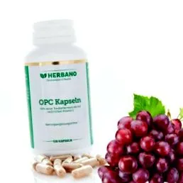 metabolismului