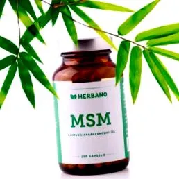 metabolismului
