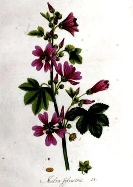 furnizare