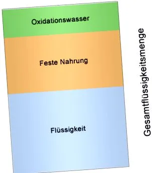 háztartás