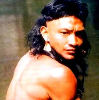 brygady Mato Grosso
